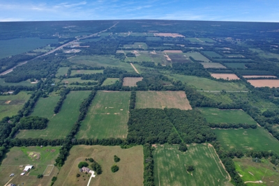 154± Acres in 2 Tracts, Jackson County- Donald N. Abbott Estate featured photo 6