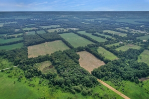 154± Acres in 2 Tracts, Jackson County- Donald N. Abbott Estate featured photo 10