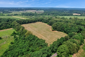 154± Acres in 2 Tracts, Jackson County- Donald N. Abbott Estate featured photo 12