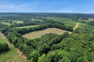 154± Acres in 2 Tracts, Jackson County- Donald N. Abbott Estate featured photo 13