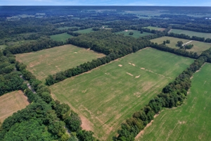 154± Acres in 2 Tracts, Jackson County- Donald N. Abbott Estate featured photo 15