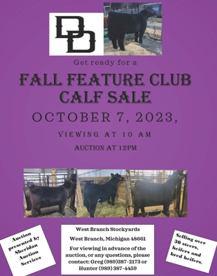 Fall Feature Club Calf Sale featured photo 1