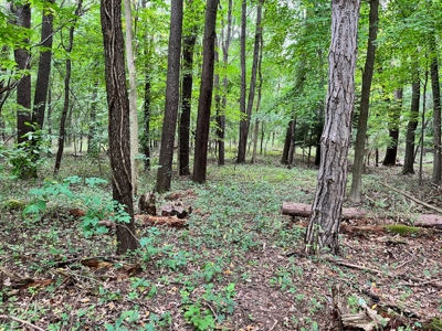 7888 Brown Rd. Parma, MI - 1,784 sq. ft home on 3.32 acres featured photo 12