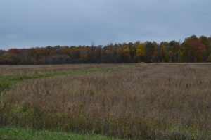 80A offered in 2 Tracts, Beard Rd, Shiawassee County featured photo 12