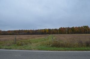 80A offered in 2 Tracts, Beard Rd, Shiawassee County featured photo 14