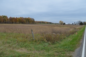 80A offered in 2 Tracts, Beard Rd, Shiawassee County featured photo 16