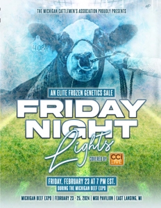 Friday Night Lights featured photo