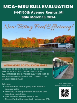 MCA-MSU Bull Evaluation featured photo 1