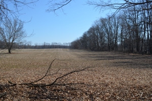 15 Vacant Acres featured photo 3