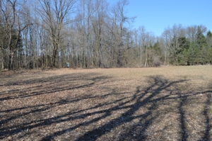 15 Vacant Acres featured photo 7