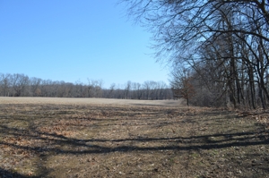 15 Vacant Acres featured photo 8