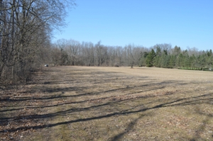 15 Vacant Acres featured photo 9