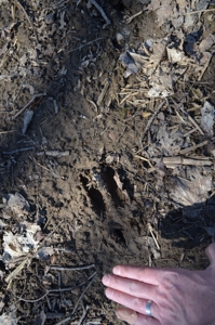 15 Vacant Acres featured photo 11