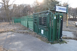 Charles P Mann Inventory Reduction Auction featured photo 8