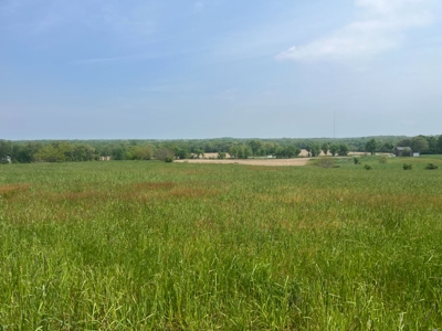 Kowalski Family Farm 170 Acres offered in 2 Tracts featured photo 1