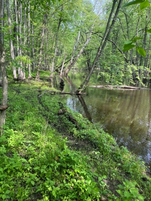 Kowalski Family Farm 170 Acres offered in 2 Tracts featured photo 3