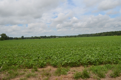 The Estate of Gerald and Mary Linsley 350+/- Acres featured photo