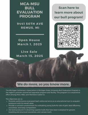 MCA-MSU Bull Evaluation featured photo 1