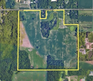 Investment Land Auction - 228± Acres offered in 3 Tracts featured photo 1
