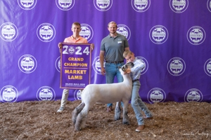 Michigan Livestock Expo Sale-A-Bration 2025 featured photo 37