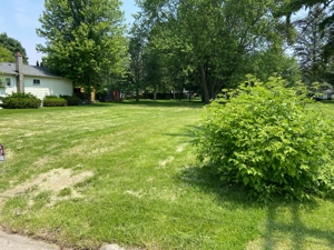 Owosso Vacant Lot featured photo
