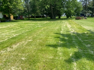 Owosso Vacant Lot featured photo 1