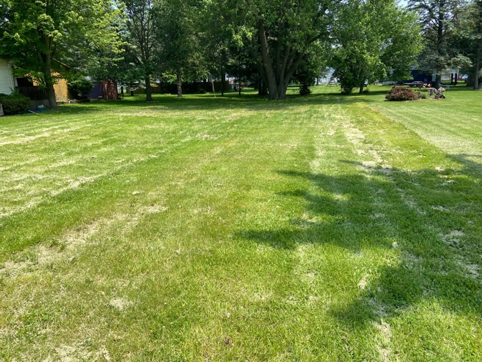 Owosso Vacant Lot featured photo