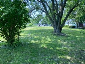 Owosso Vacant Lot featured photo 3