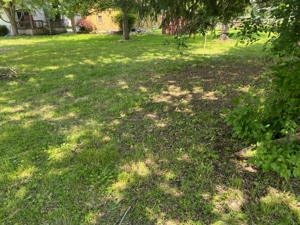 Owosso Vacant Lot featured photo 5