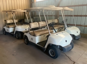 Corunna Hills Golf Course Liquidation featured photo 7